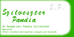 szilveszter pandia business card